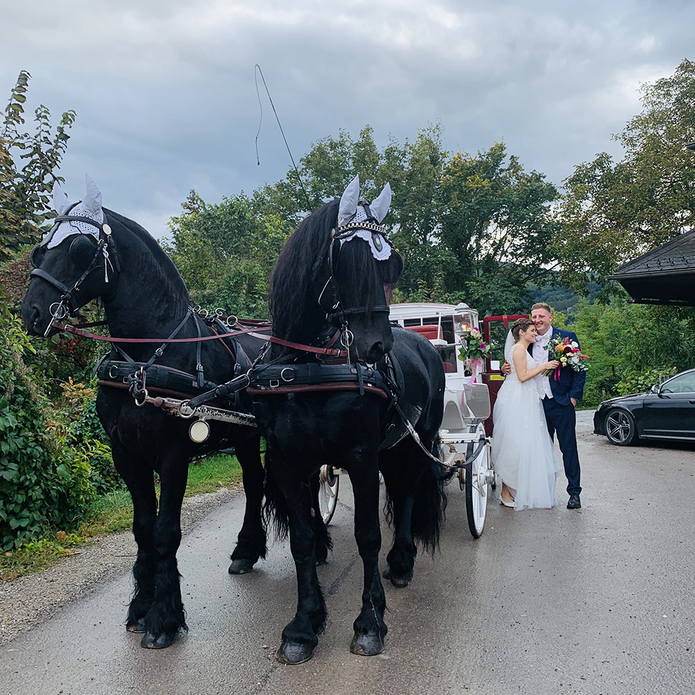 Hochzeiten und Feiern