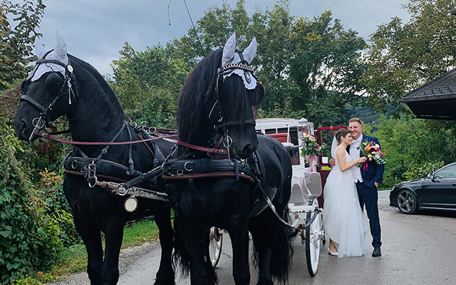 Hochzeiten